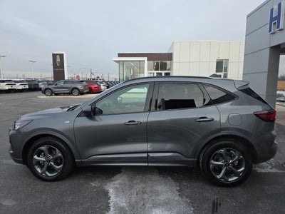 2023 Ford Escape ST-Line
